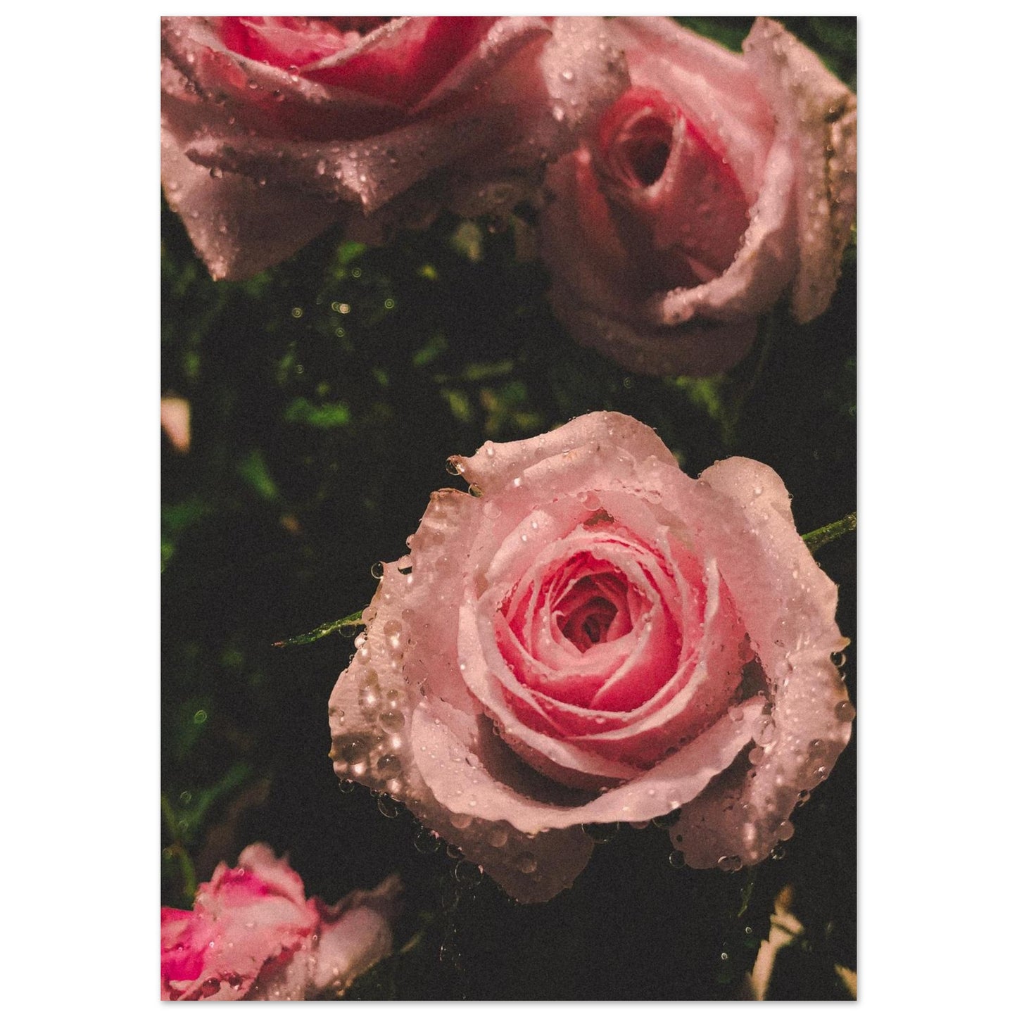 3edc7589-c592-4f89-891c-0fabda8ab639