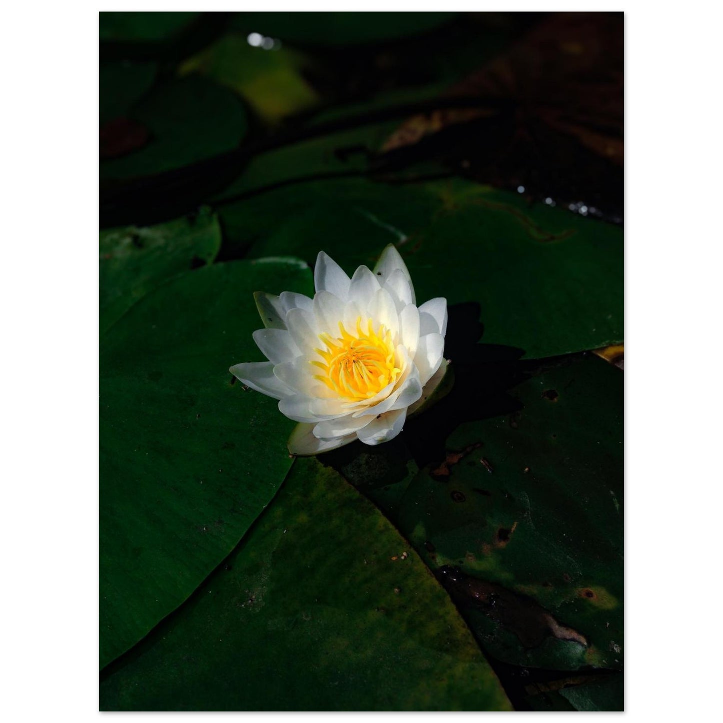 40527200-8d88-4b93-9be7-49029a8650b3