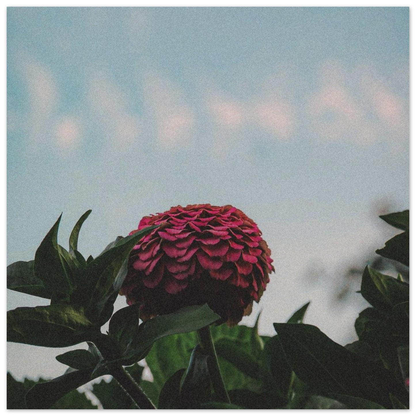 416348ba-38e2-4f19-b3da-1a28bf6358fb