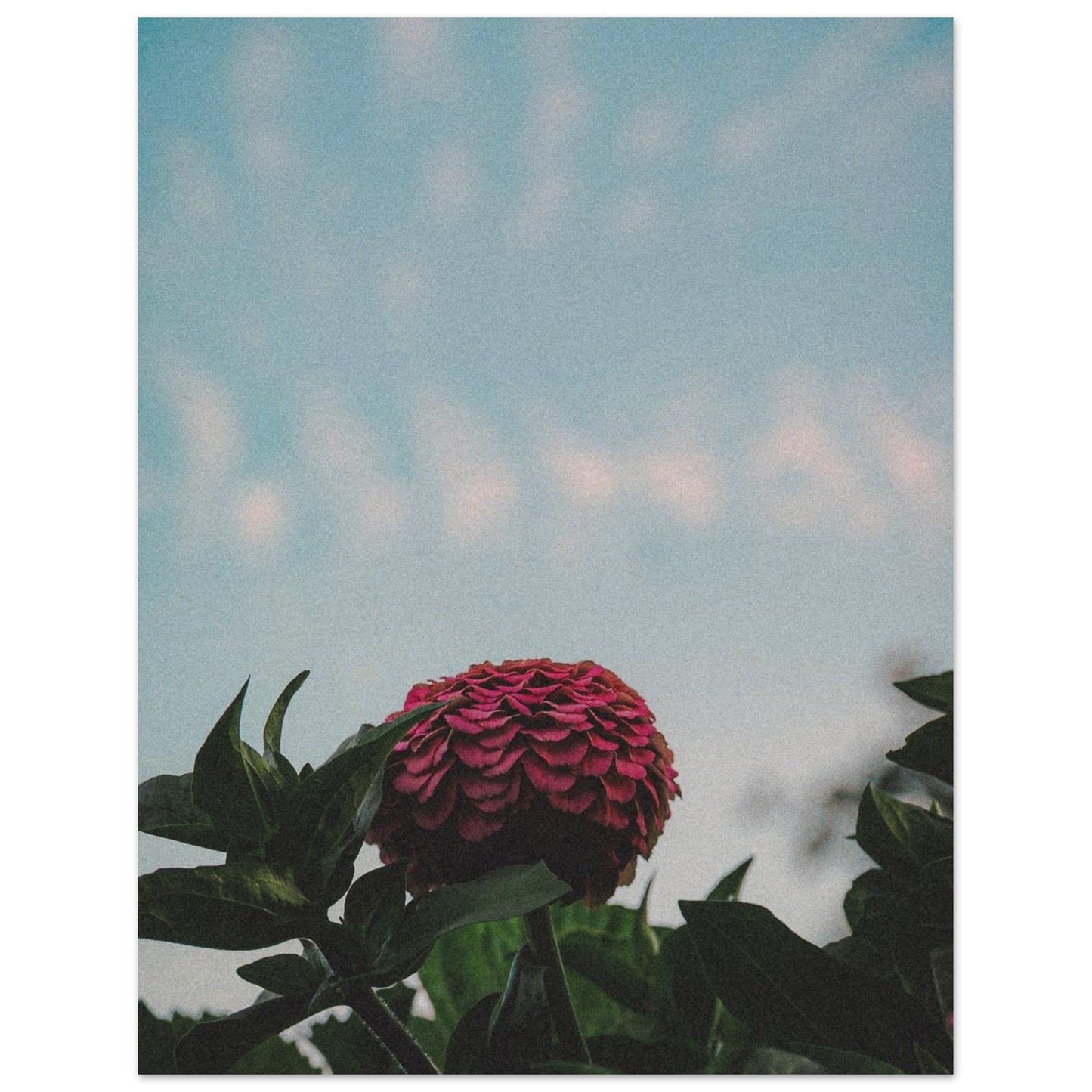 42145b16-e032-499e-aab2-47be9ea20c61