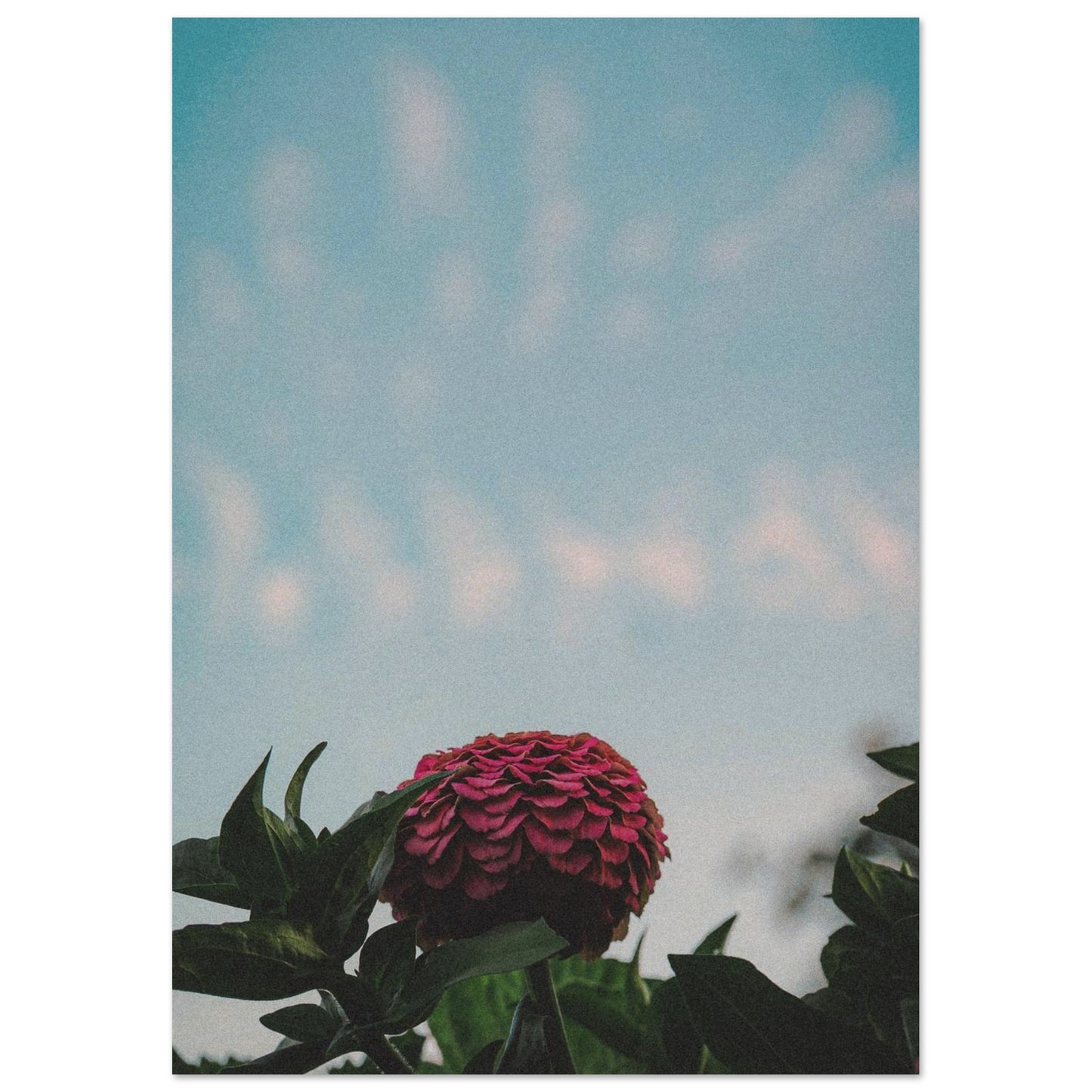 42a8911b-e87f-4116-9e30-e398c1690d55