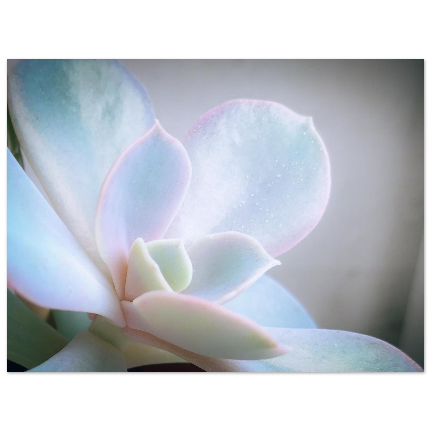 44540678-5f18-4446-93fe-8d80f1db166d