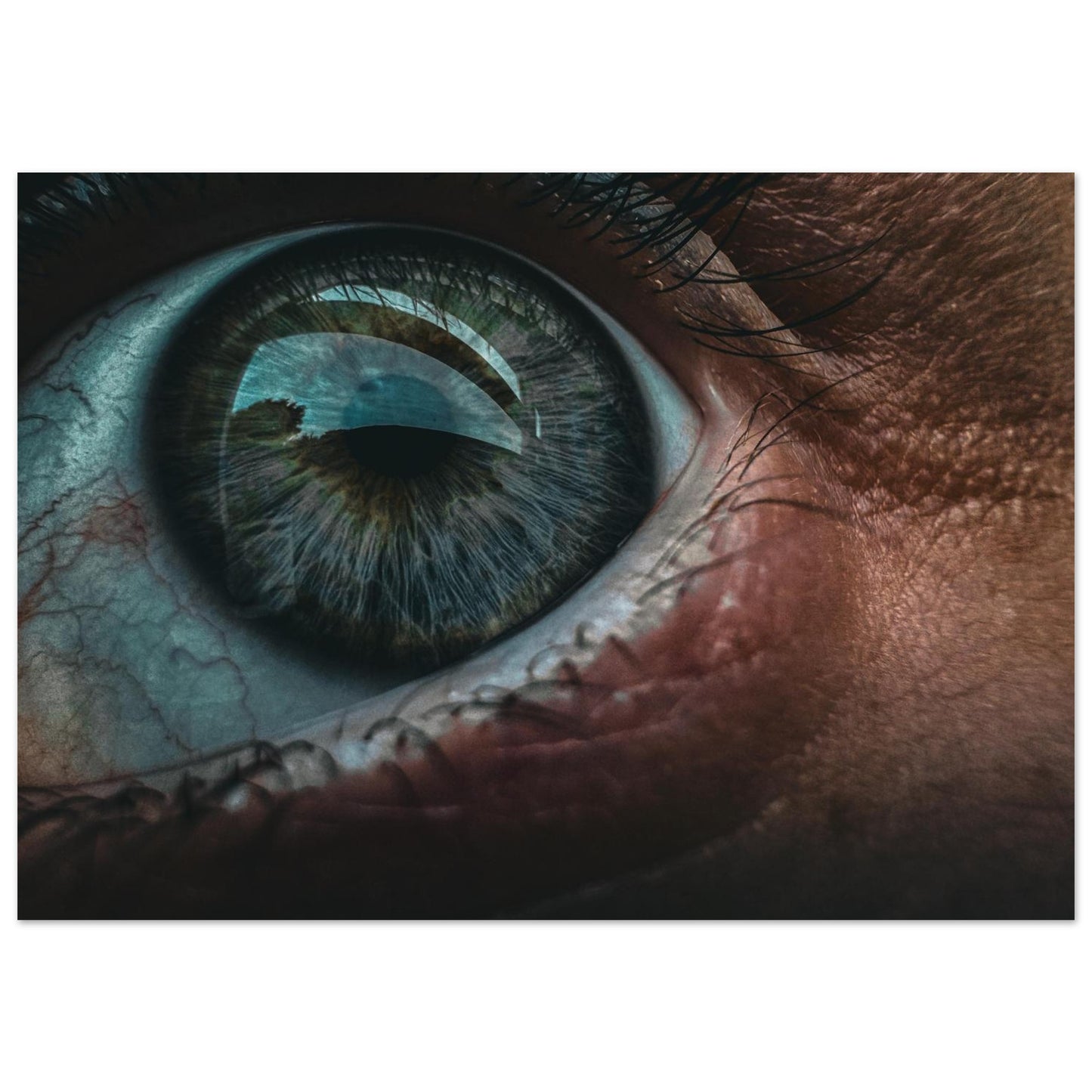 448ba36e-e65f-4143-b894-2286334b459c