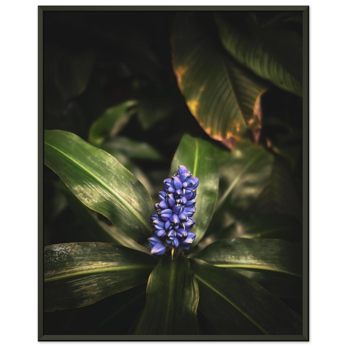 454f4352-93e9-47d7-8517-f363a797ac9f