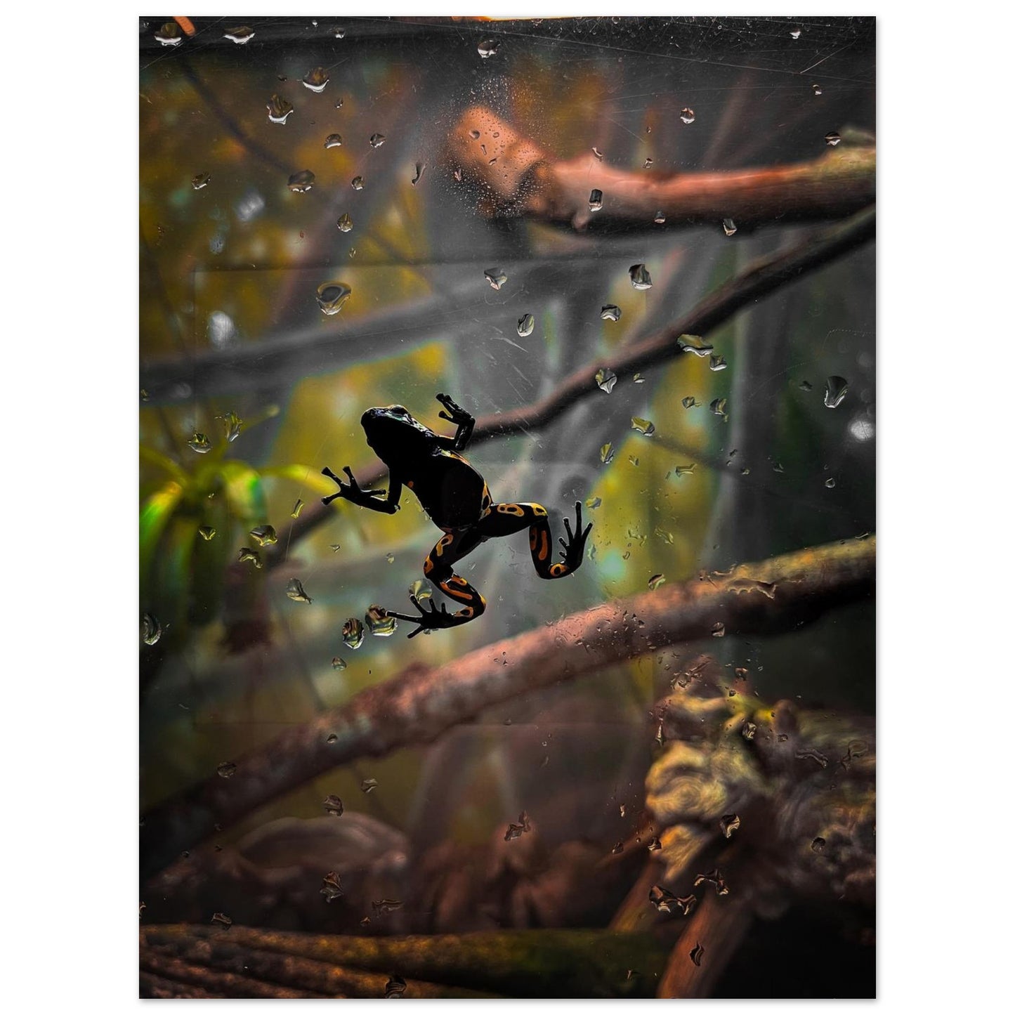 45af48e0-23ee-4c58-9ccd-f0a31aeb7665