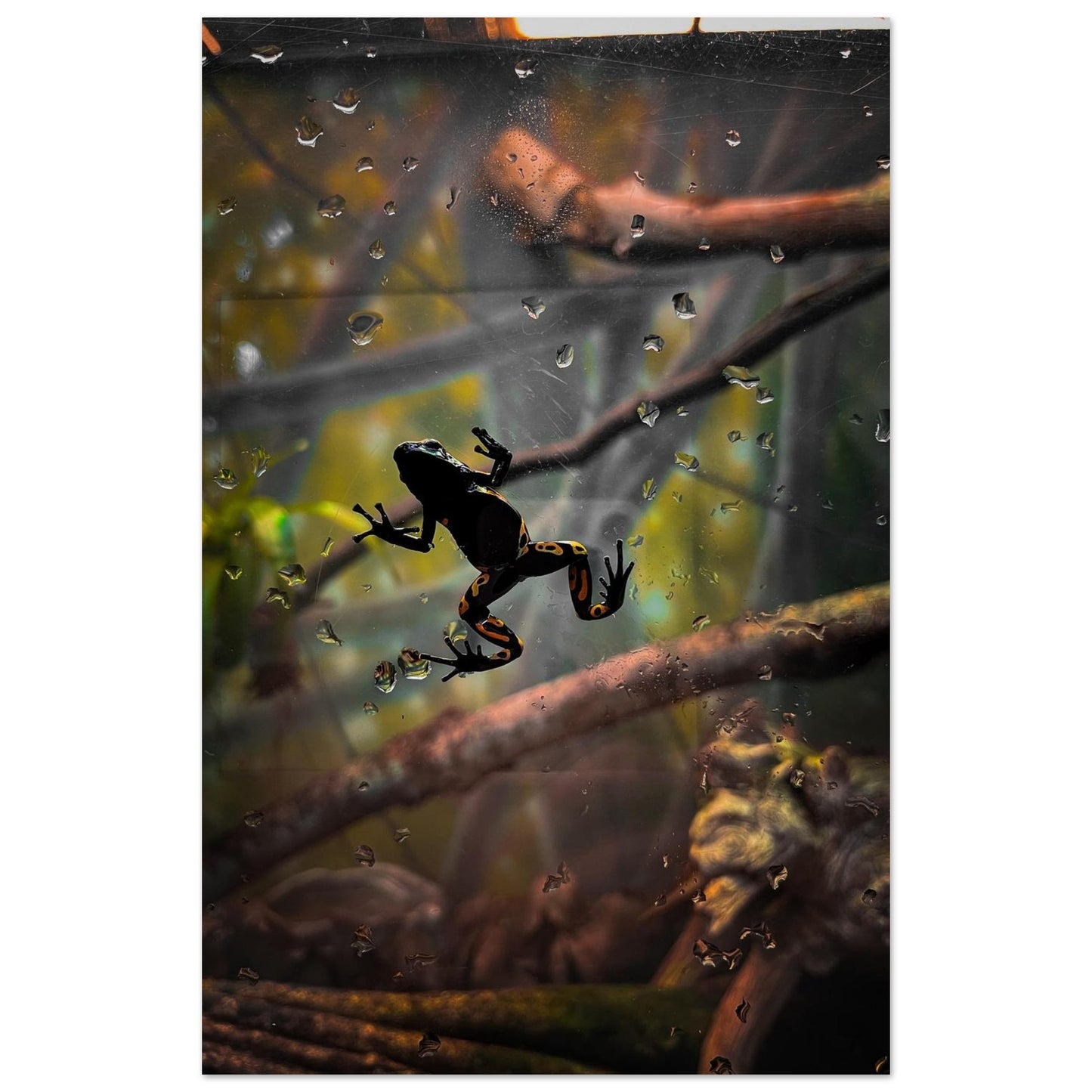 479ded72-6dec-41b1-892d-e85a6a9b604e