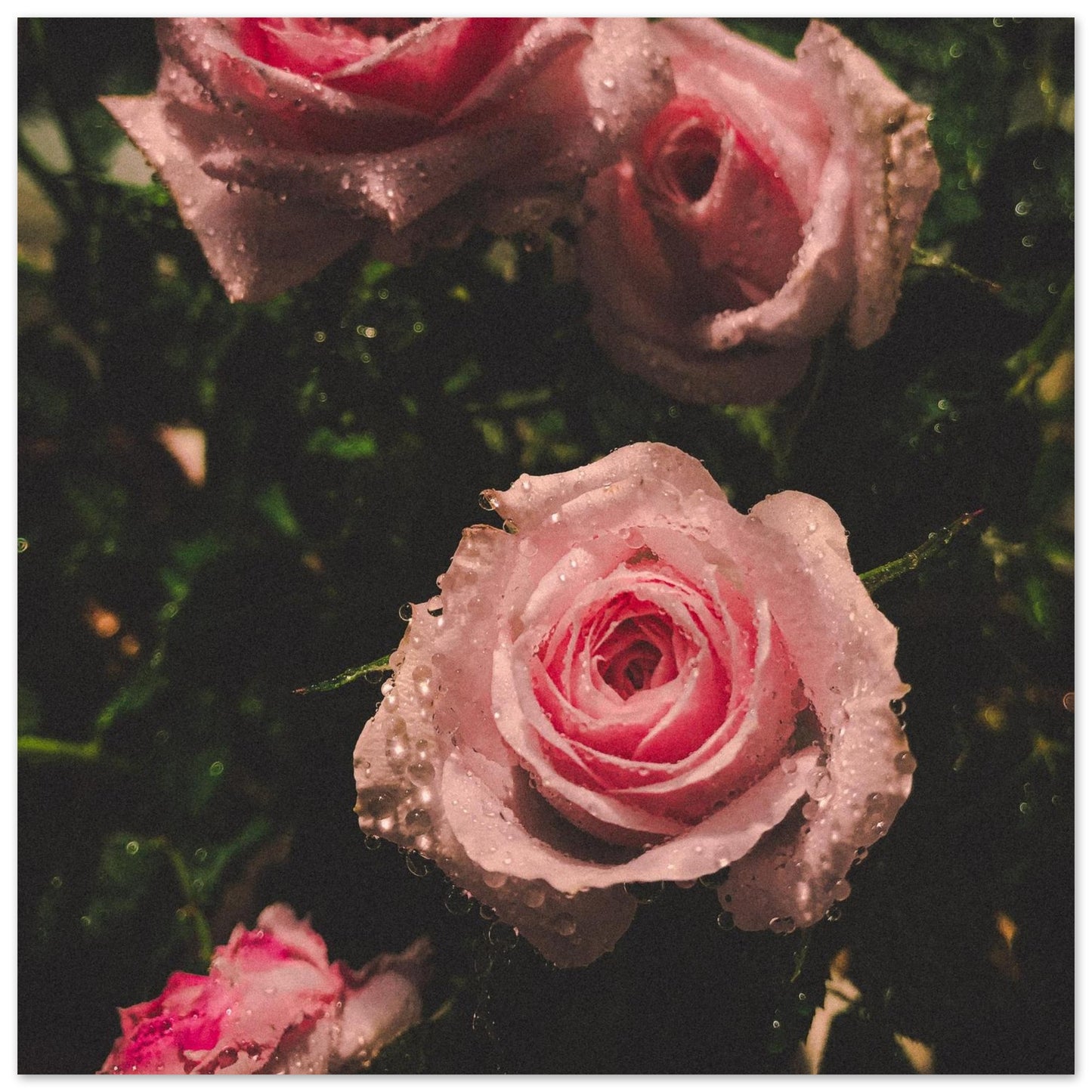 4803f1c8-e58d-4520-b54d-1382b31fe6ac