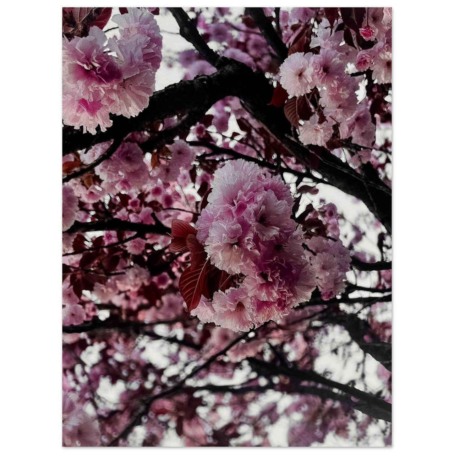 488c8553-b403-412a-8138-a642f7d38d21