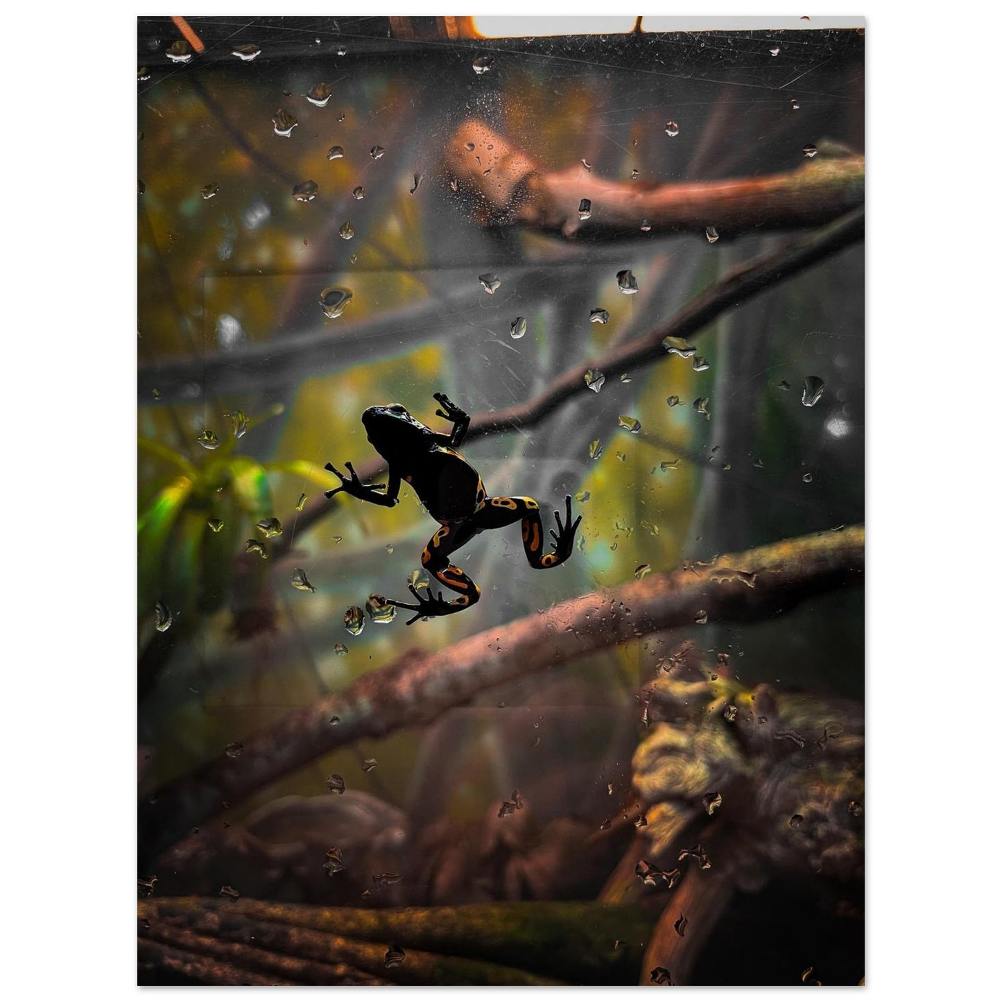 492c5b89-813b-4722-bd6a-ecfea463d88e