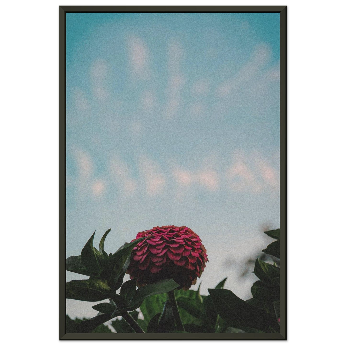 4d3a7d5d-2ffc-4bfa-96d4-5004546dd7e3