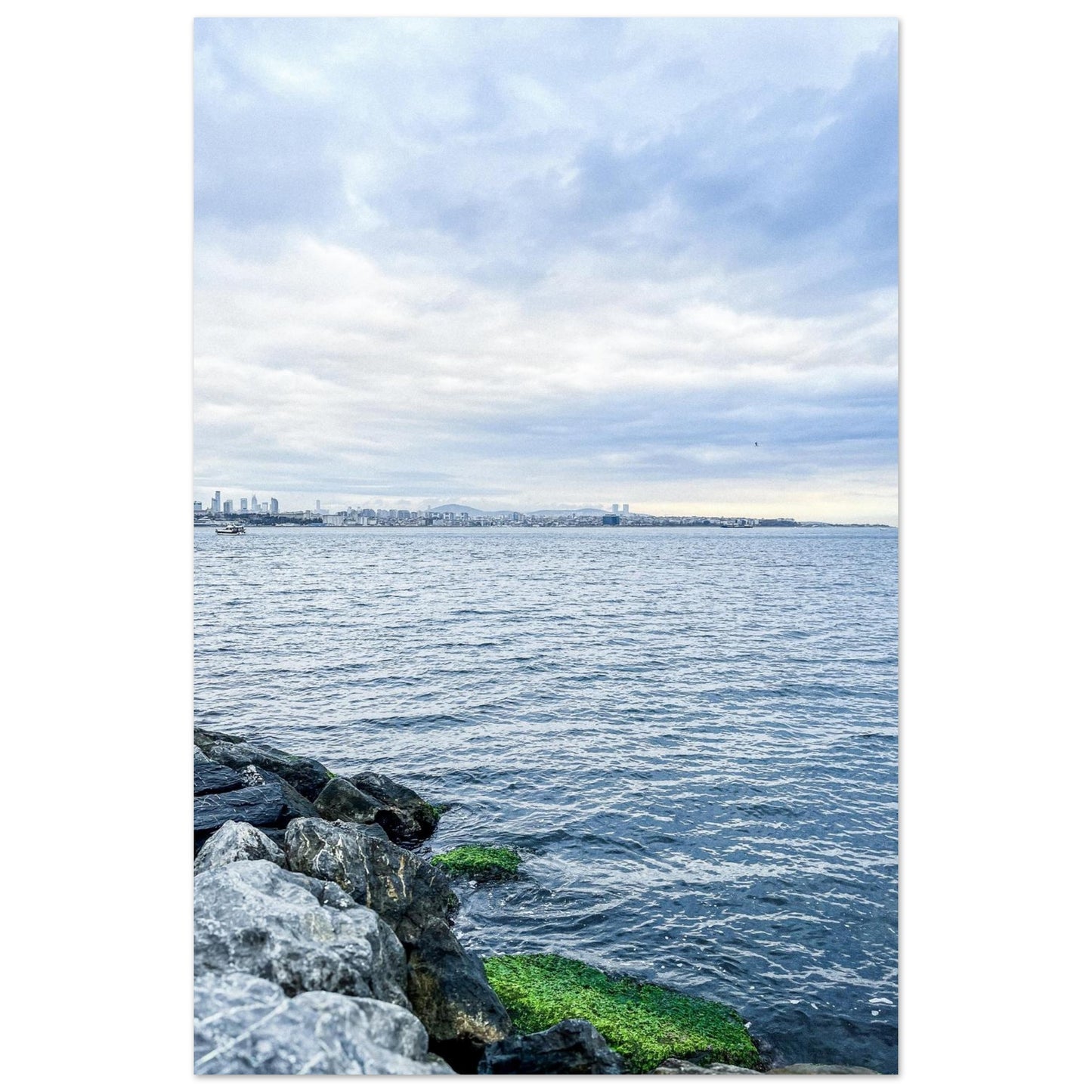 50311dc6-220c-4553-8625-ec1306283d93