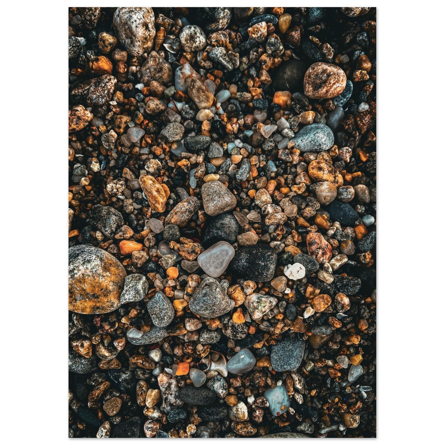 5189a3d8-5e76-457e-8bb8-4b5feaa92244