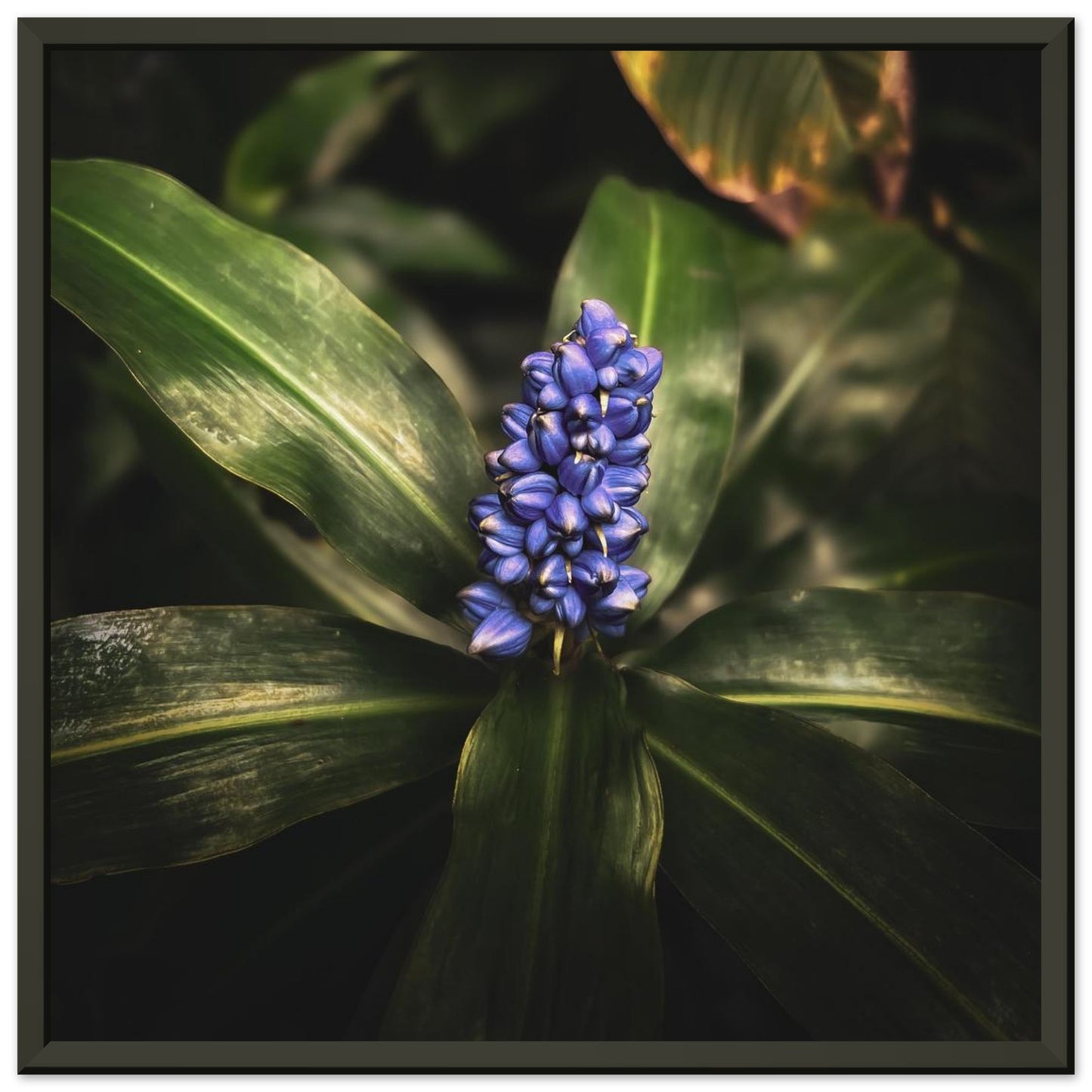 51f5f05a-1d21-4c79-9577-7c6d7d4c0135