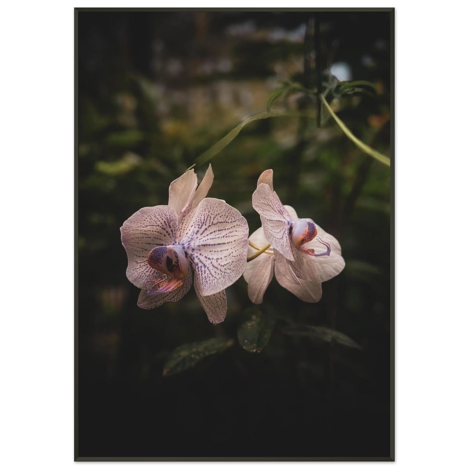 5253a832-a12c-4936-9264-c63e92d10872