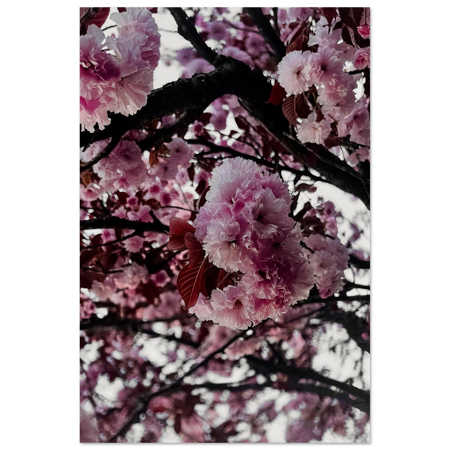 531d0e27-42e1-44ba-bd2d-1a70f7d6c84d