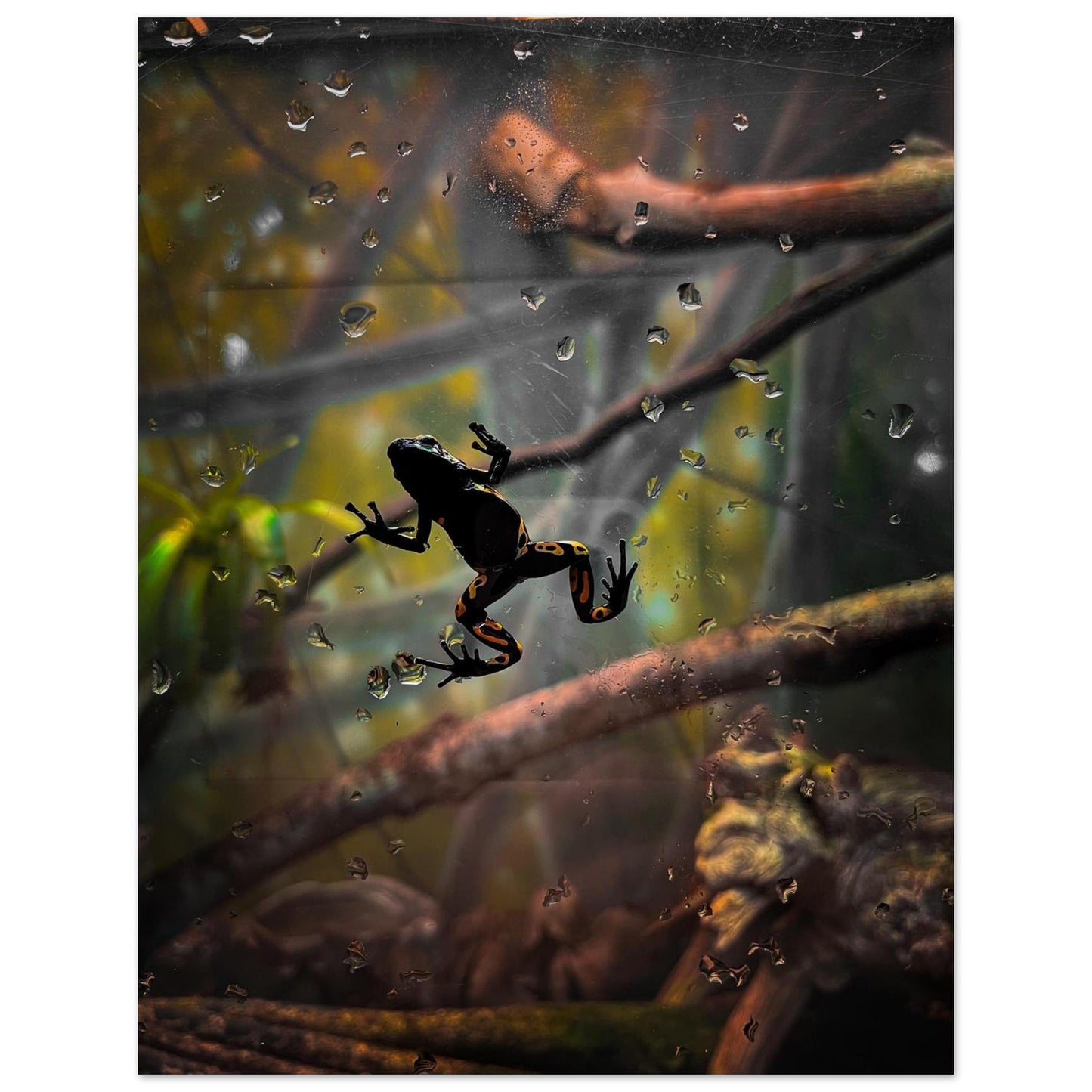 5409b87f-f1c5-4826-b6a4-64c671f5908c