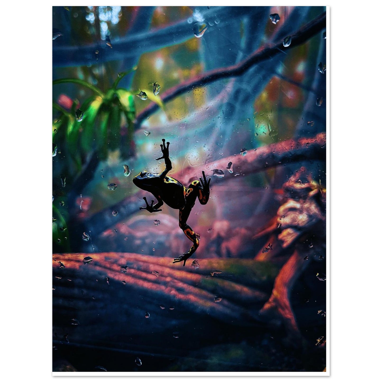 545b7093-4b88-4def-b86a-8682e7ebc9d2