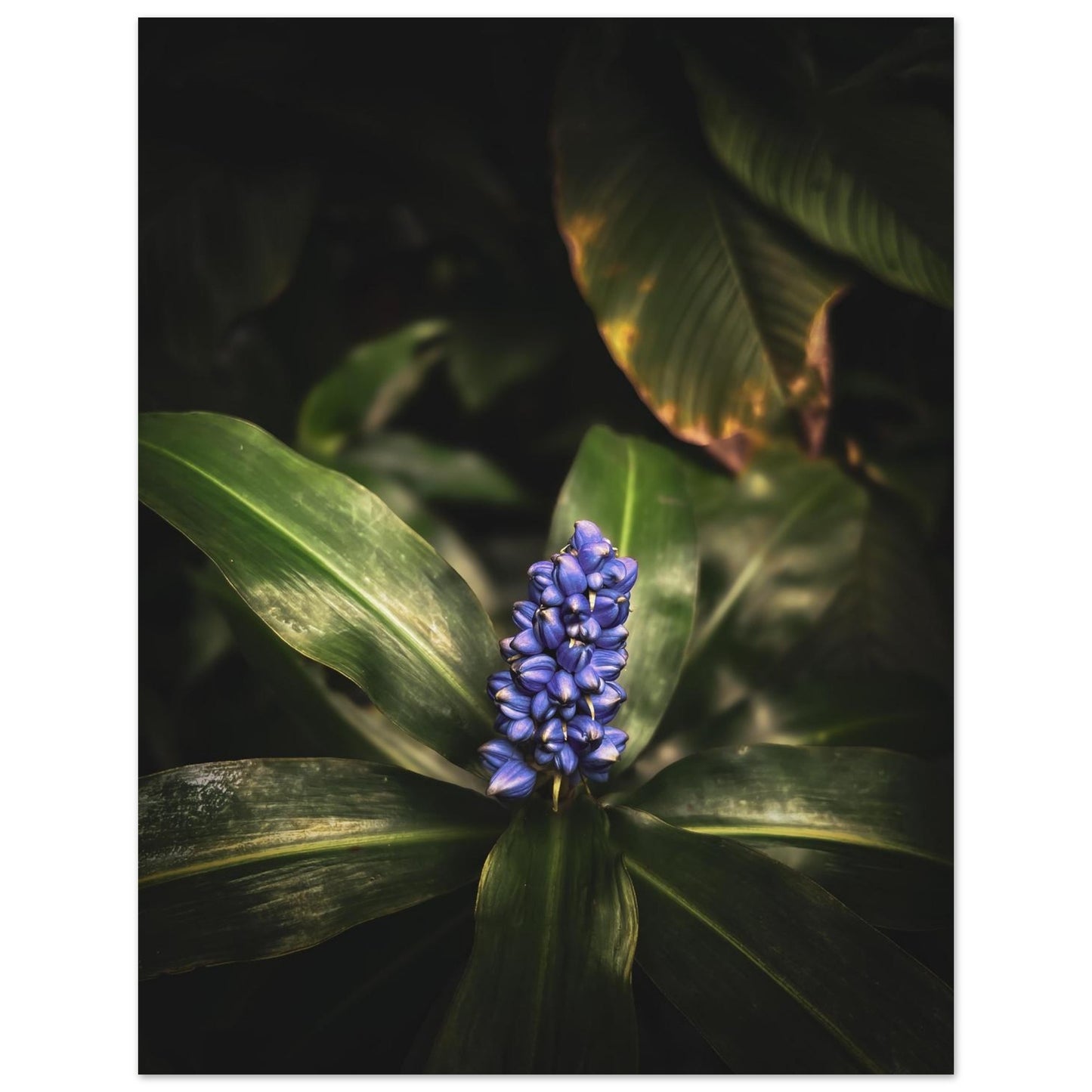 56cc64ed-e129-49a3-ab5b-460c16663bde