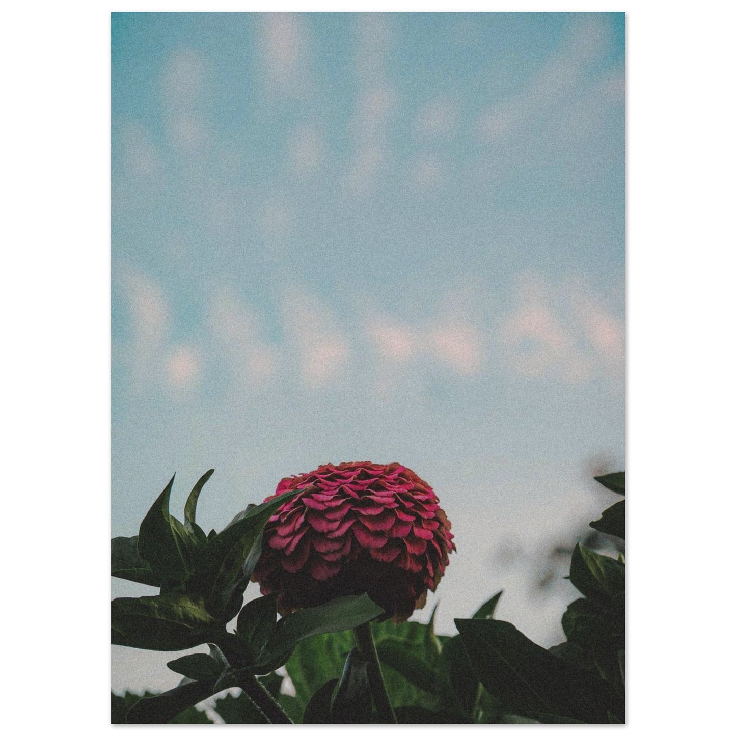 57683d44-13ee-4993-b5cc-b79bb2aaf5f1