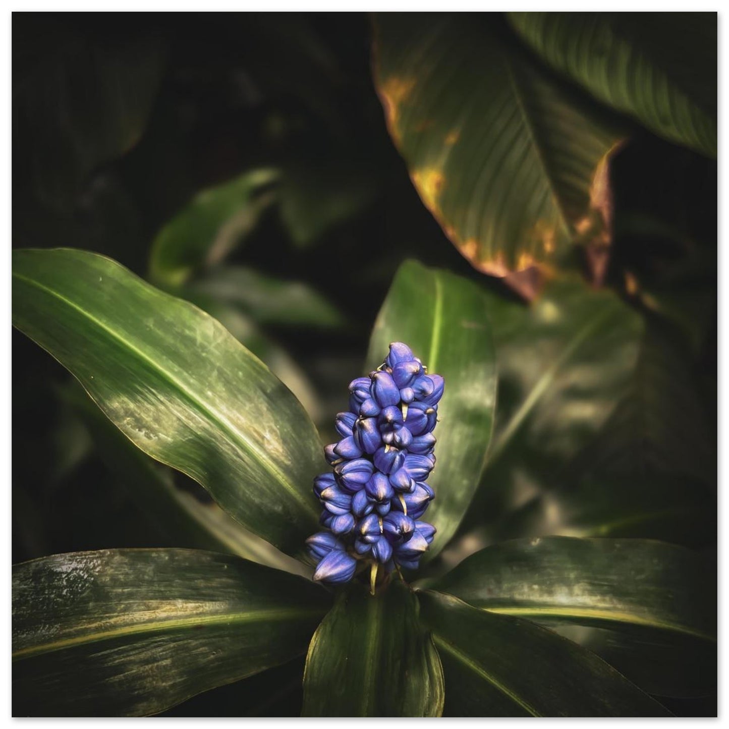 576bd5ec-d4dc-467e-99e1-5f409e814bc6