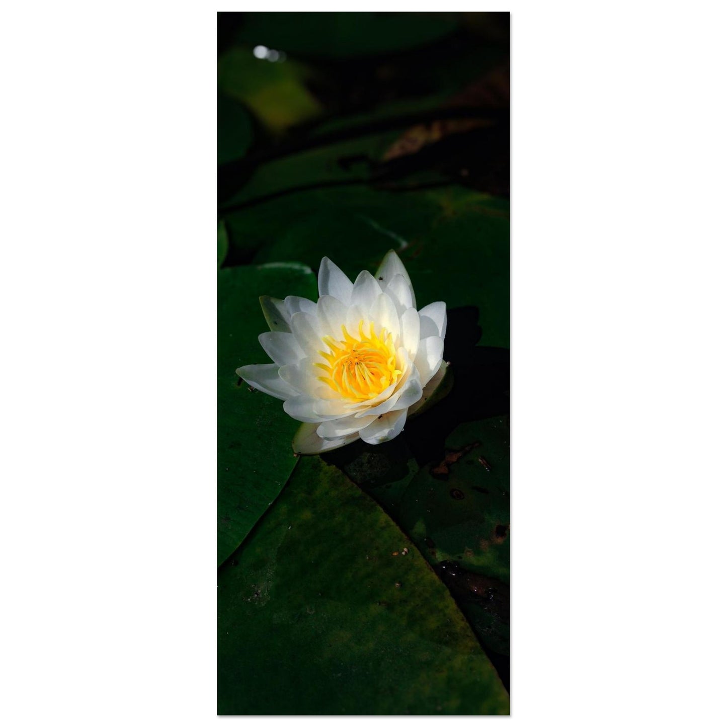 5891e947-b008-46db-aa8d-abe59cdebae9