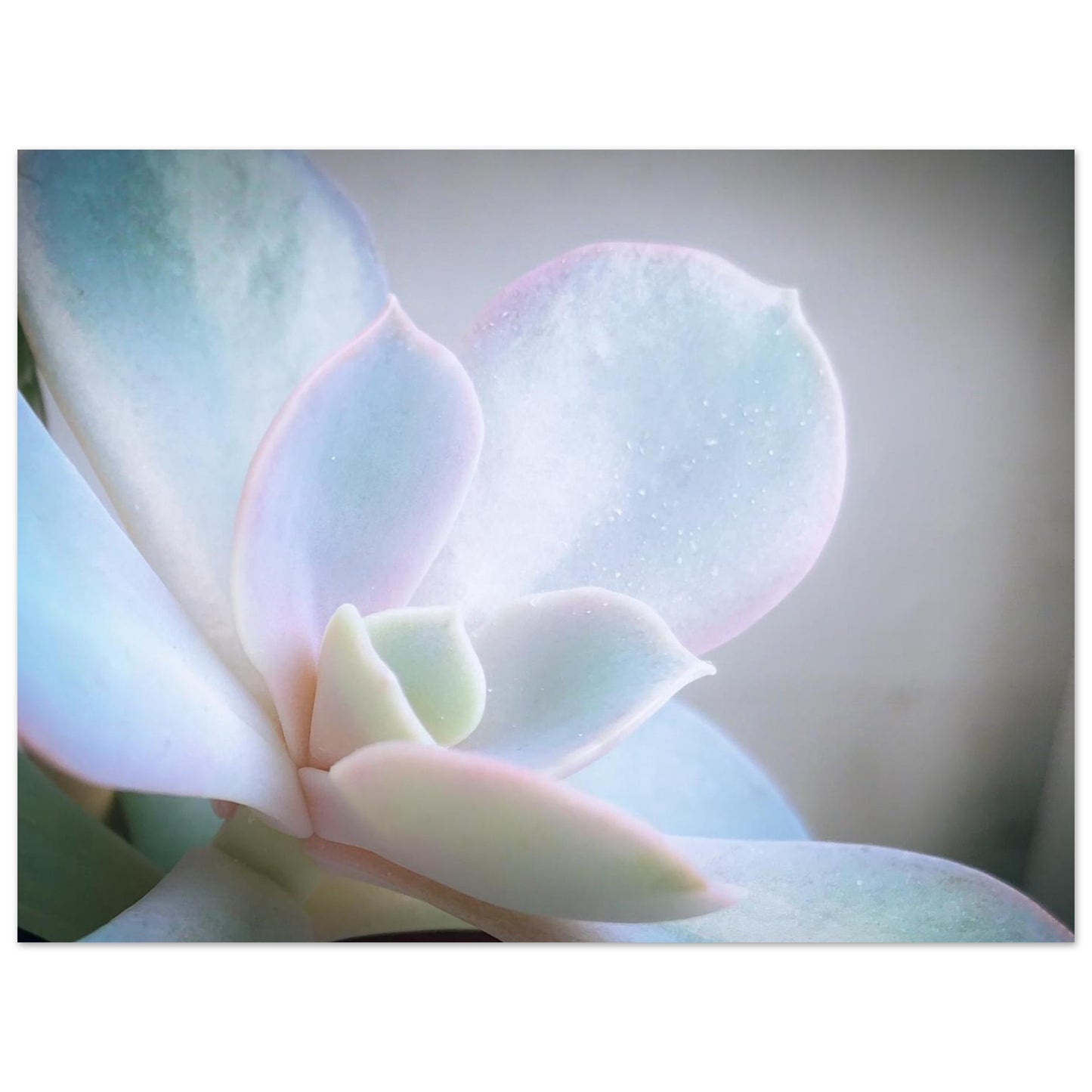 58a690ea-4786-4f8d-a56a-2c7e690075d0