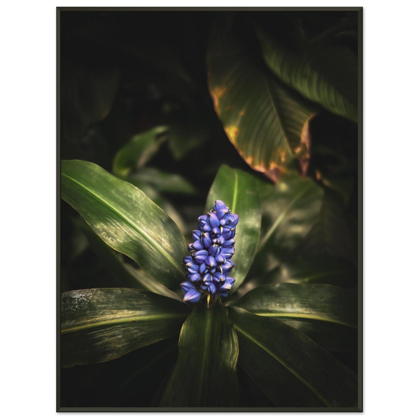 58bff80c-11fc-4925-ac01-521e92f76f89