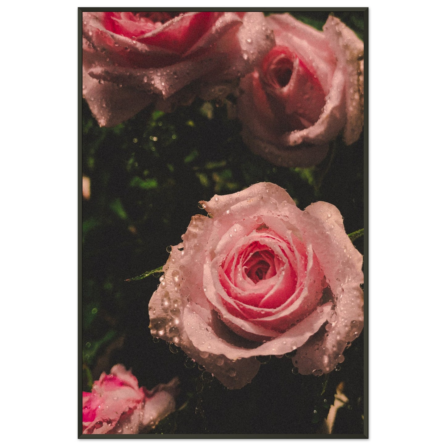 590932be-0f11-4a7e-abc1-8007f6f24fbb