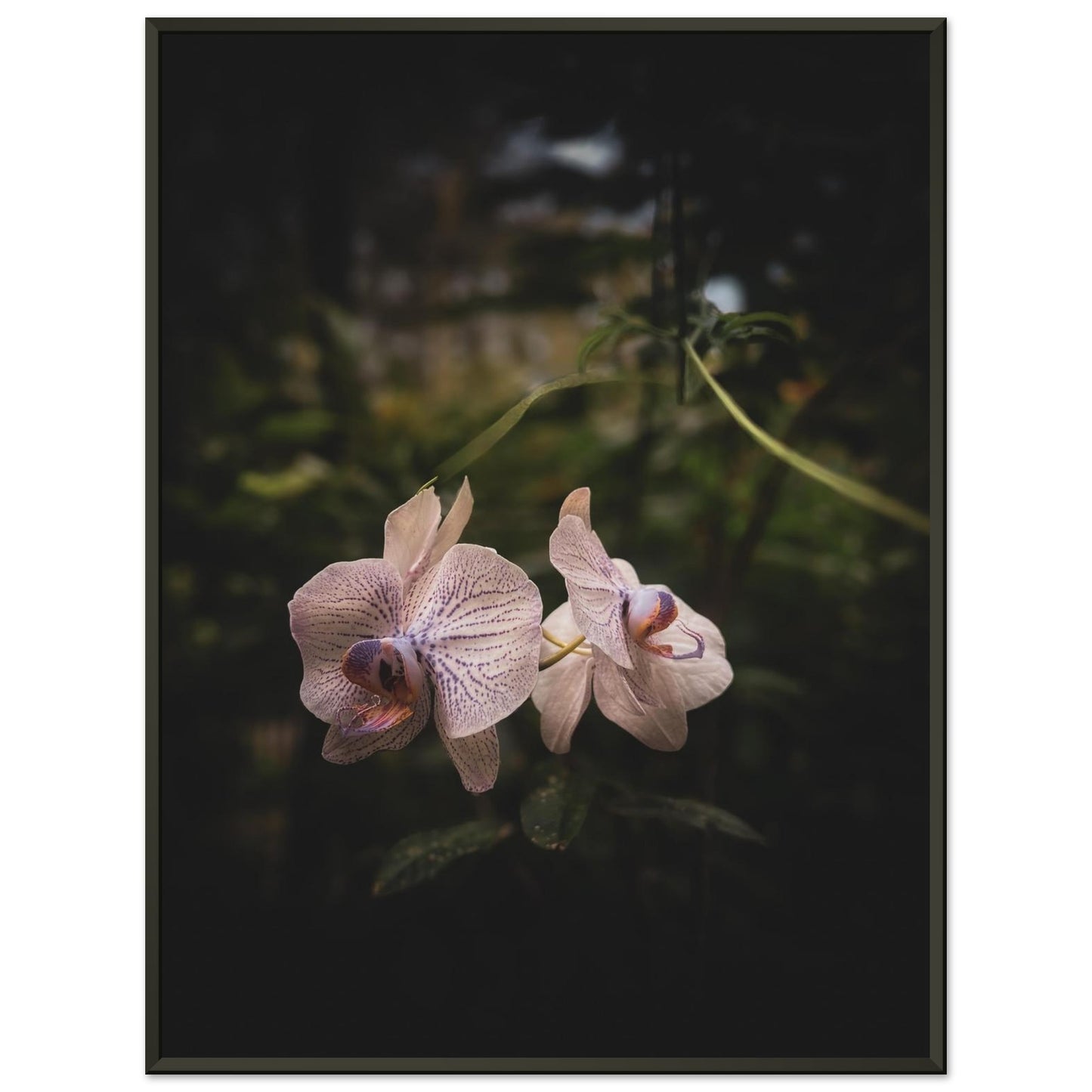 5a77074e-2fd4-4542-8bd0-a963c4e5a9e6