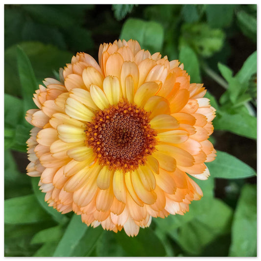 5c3652cf-c362-41bc-b1d4-5b7d4f1a3b53