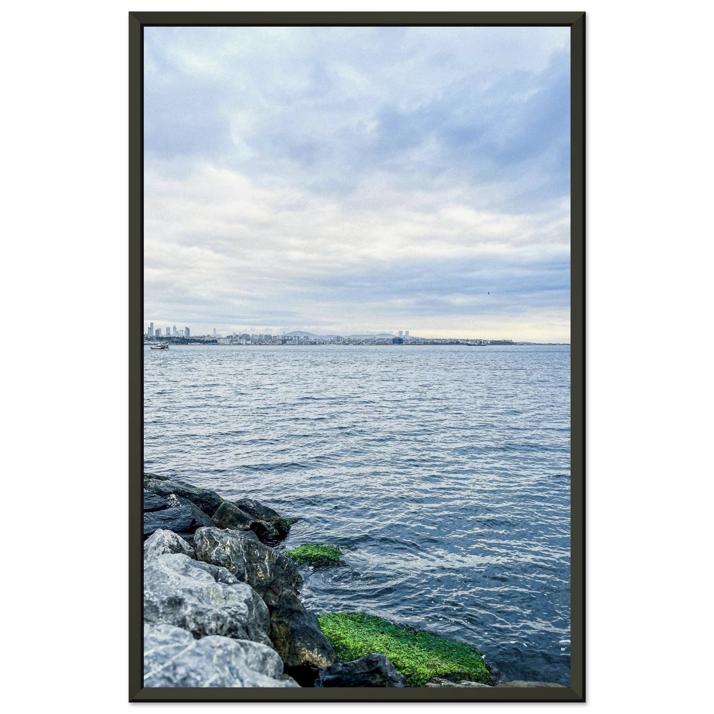 5c51e115-0904-499d-846e-2fa0ff4b2a51