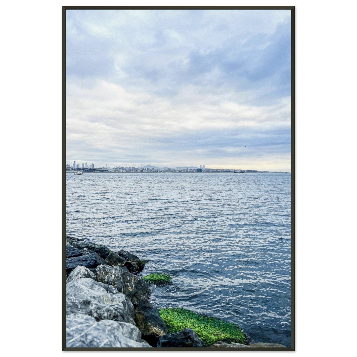 5d81272b-f2de-4d5f-8e20-957eec605628