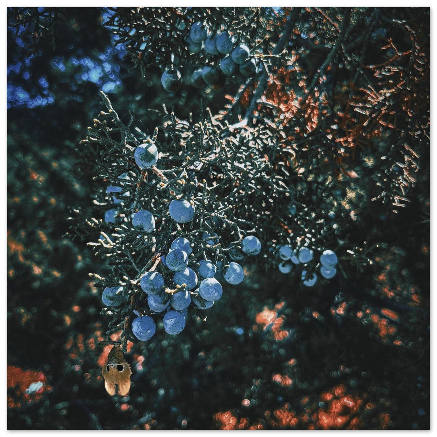 5e3a58df-edf5-4d68-8b05-907ec5bf8995