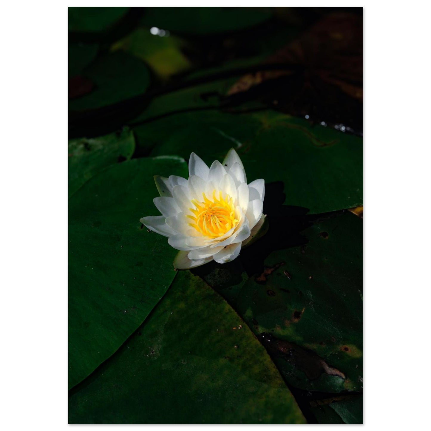 5f121402-2214-42bf-acc1-2ca2cbc76614