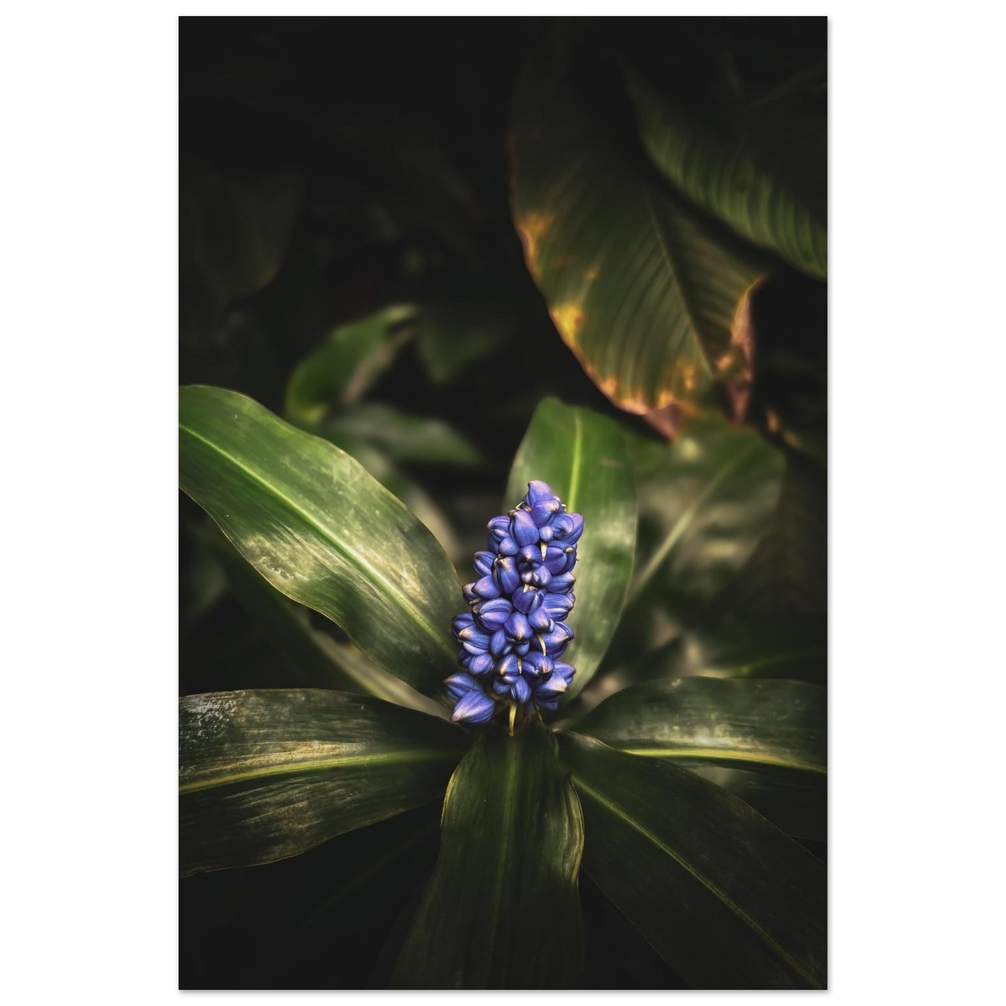 5f636c19-3ad5-48a4-ab3b-2284bdbdbafe