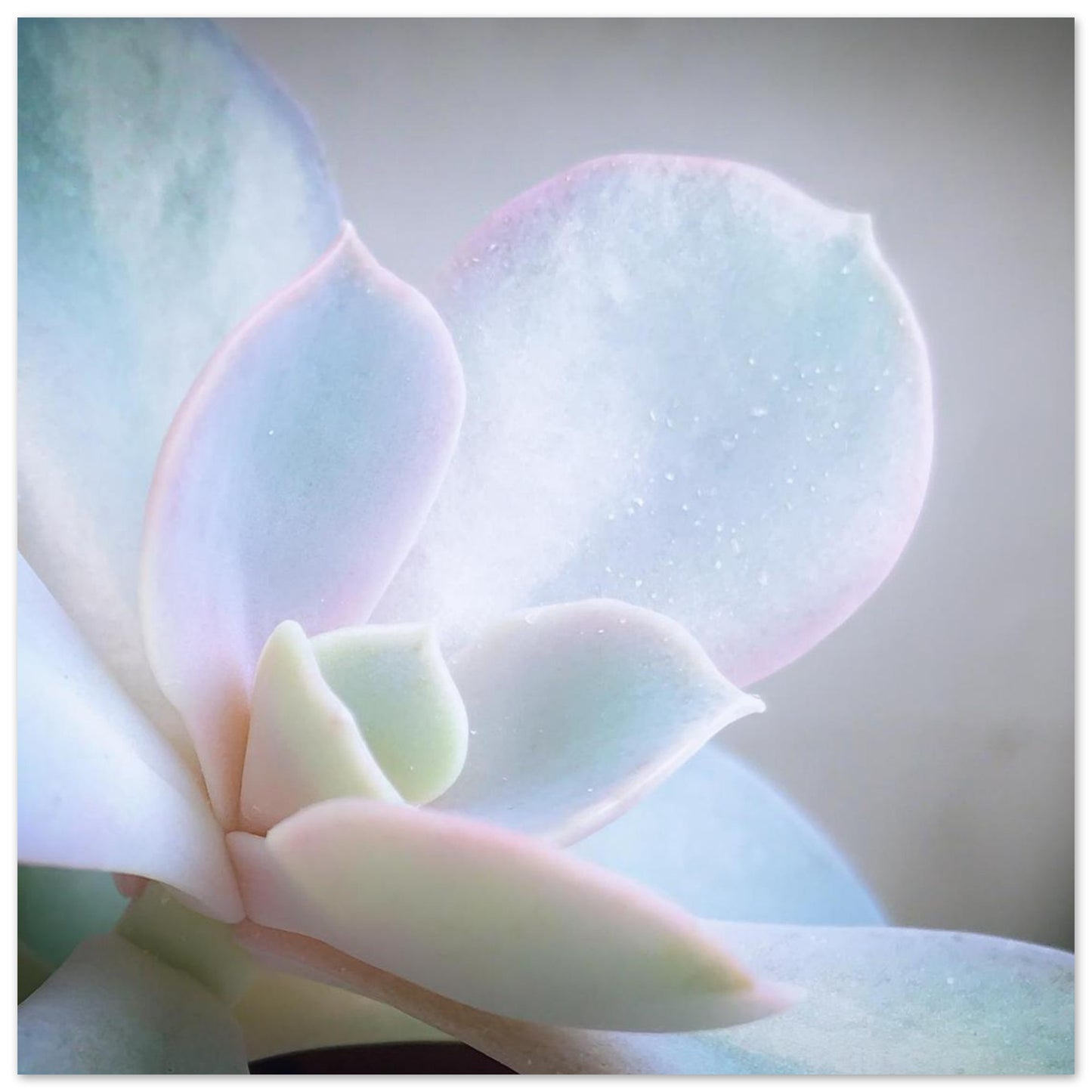 5faa4807-e84c-4b78-9a61-d93d065cd706