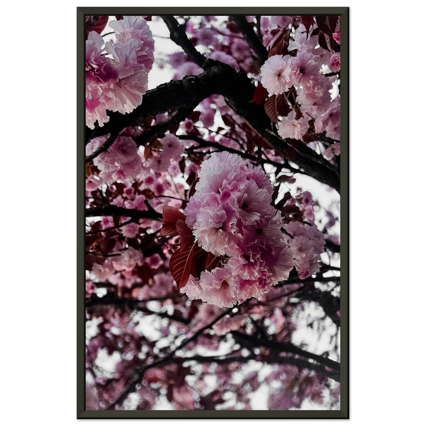 60c15bb5-c689-4acb-b4f7-4113659e52ec