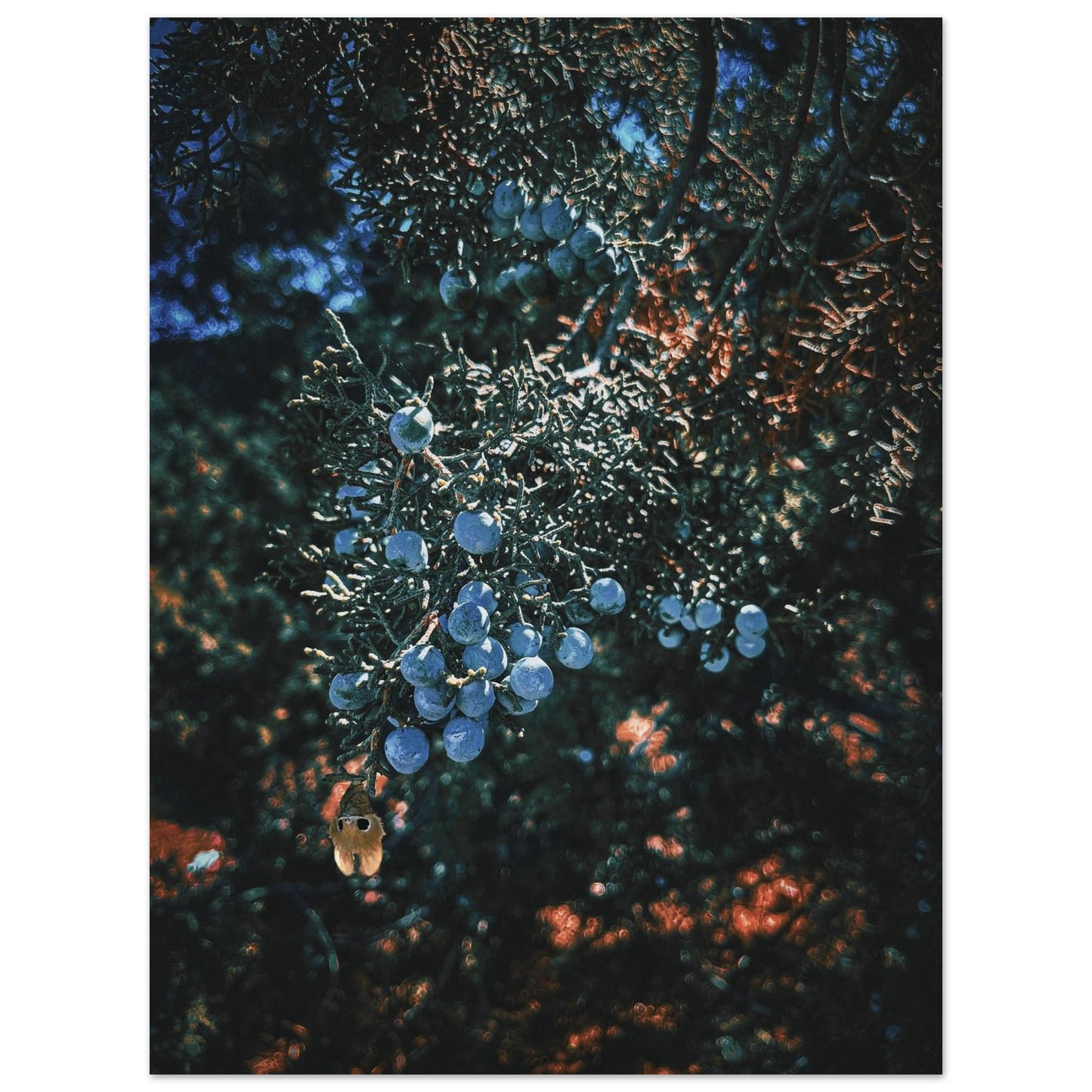 62abe35e-f638-4956-80e2-524b6de745c6