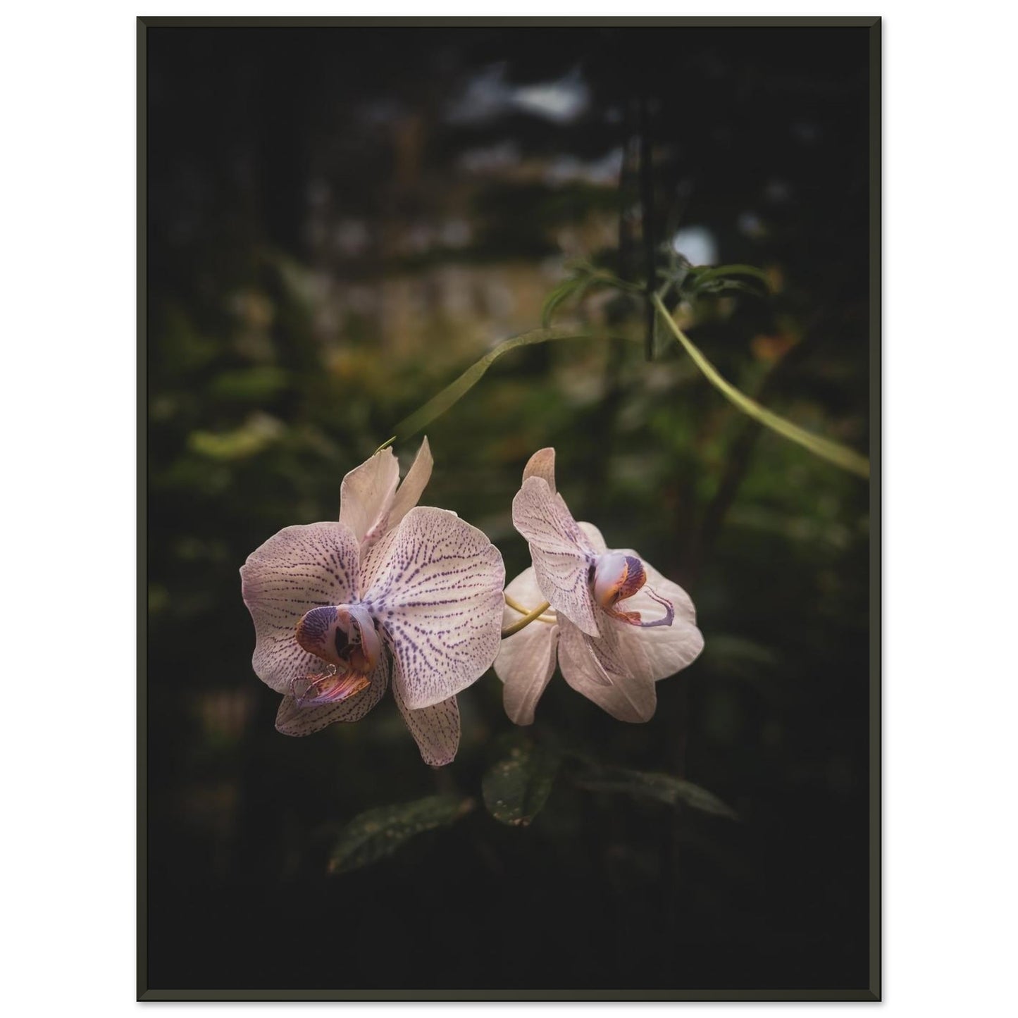 62c20ba5-1a13-4416-8113-b23383875b2e