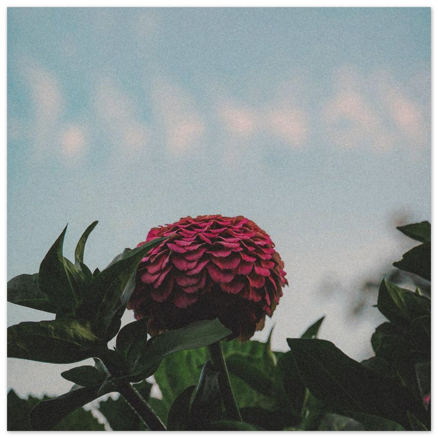 6565e57c-733e-4177-9fdb-f7c818e5665e