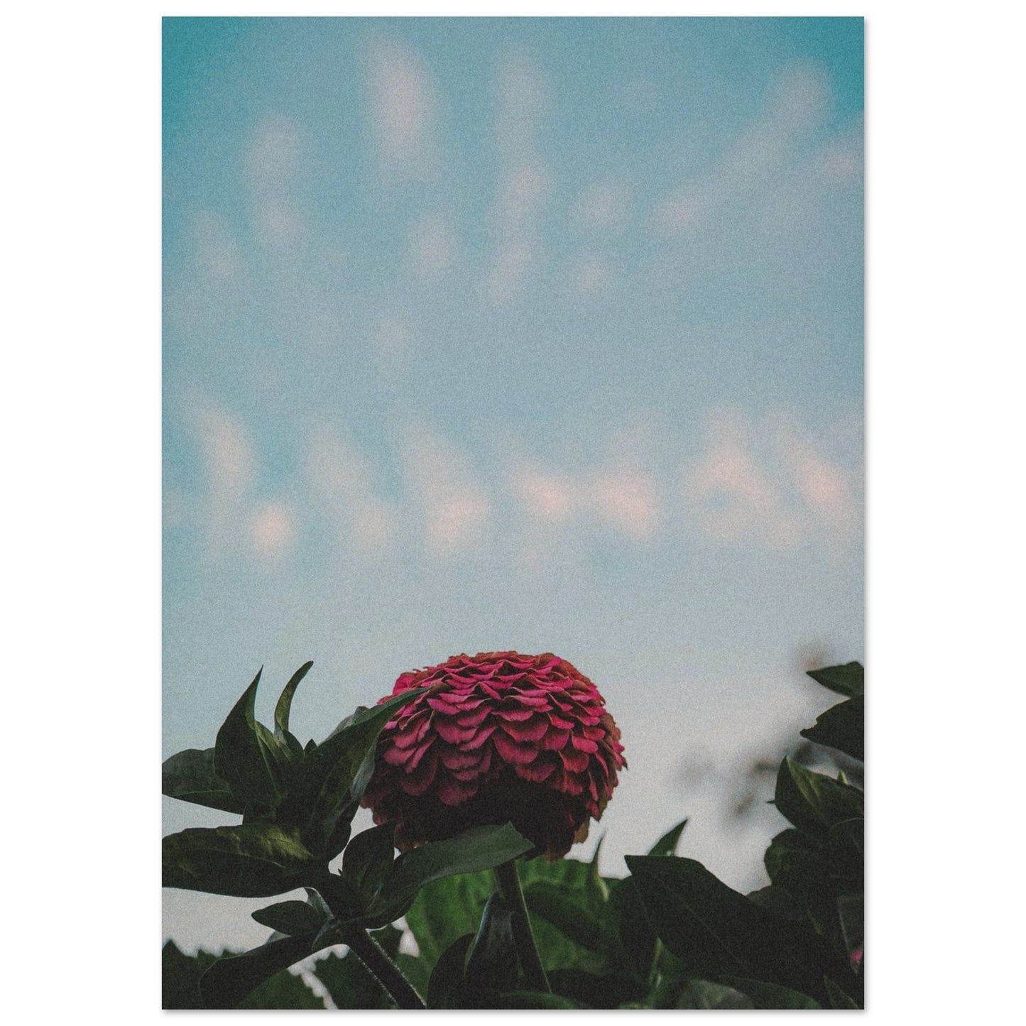 66f67e3b-0932-4f5e-a333-1312f4872c12