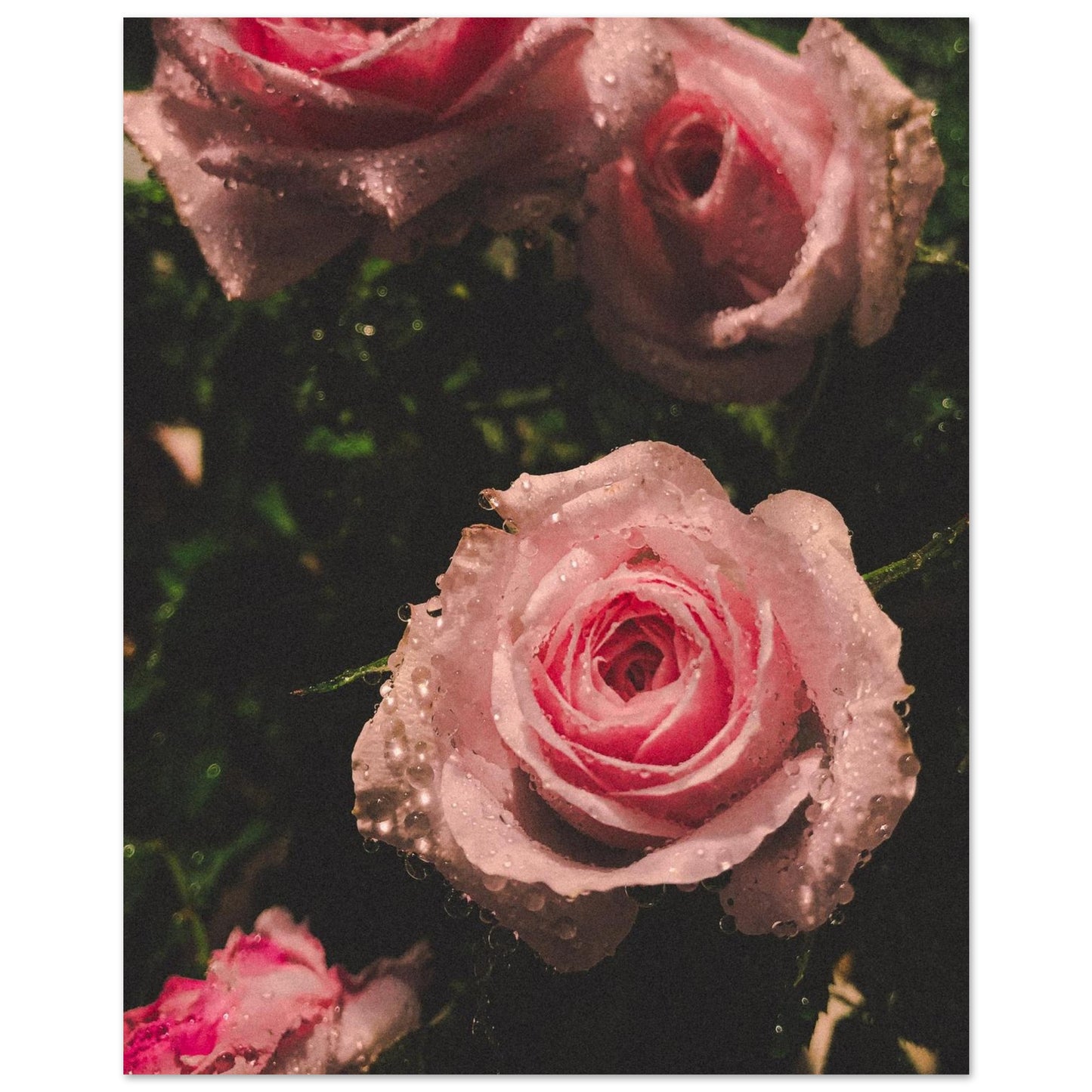 67623f33-68fe-4464-9fae-68dc41238b28