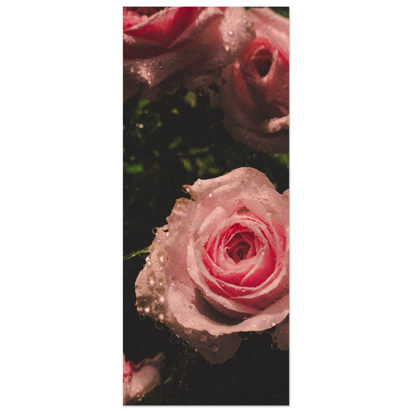 68020757-c5da-4c80-8882-7e50f9c078aa