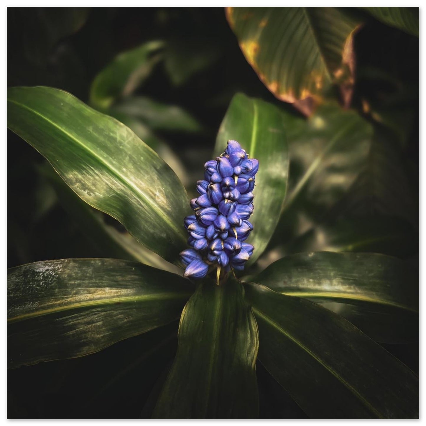 6c38f158-4f4b-42e4-bcc4-3b5cfe323edc