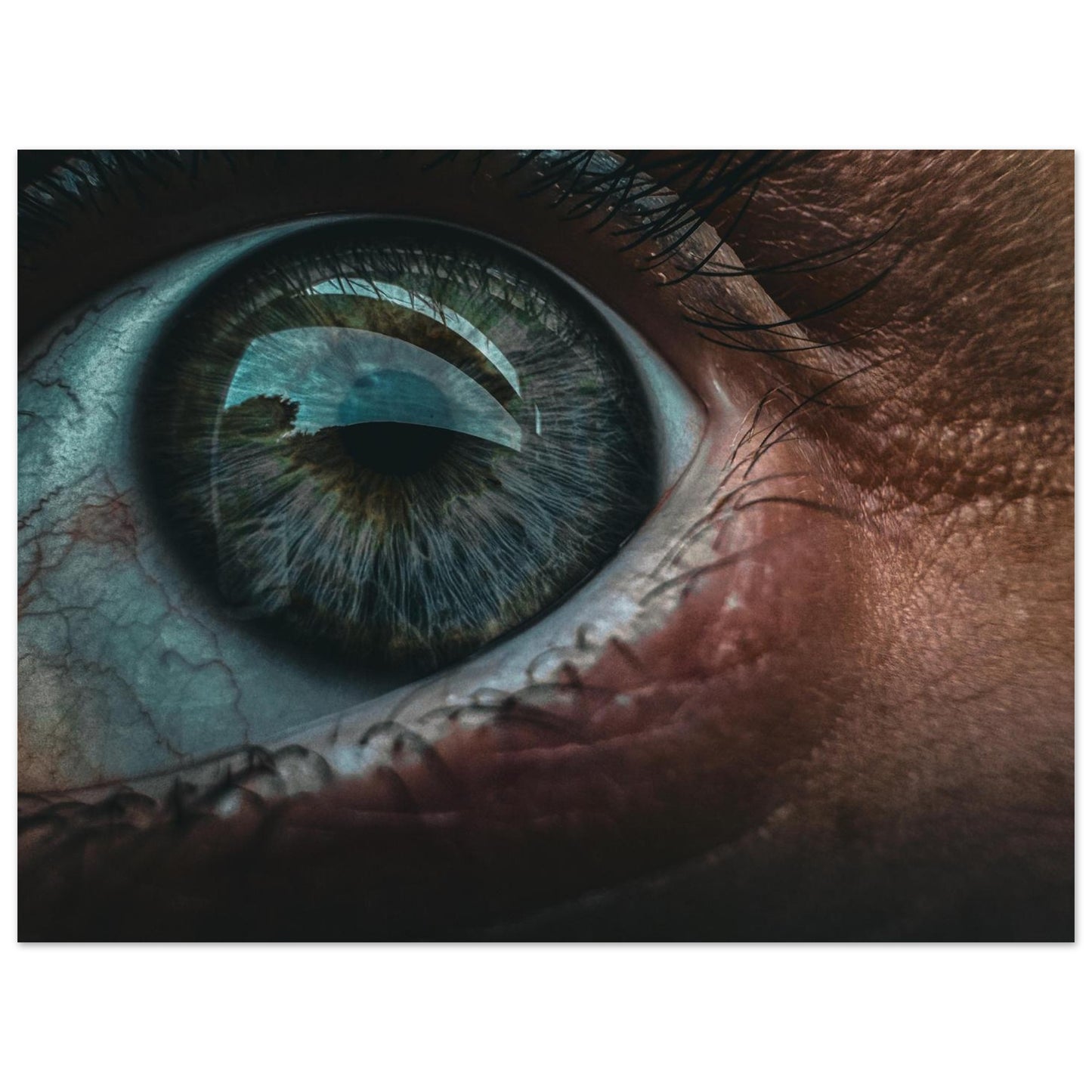 6d79a3b1-b06c-4639-8387-4e22ce3362d0