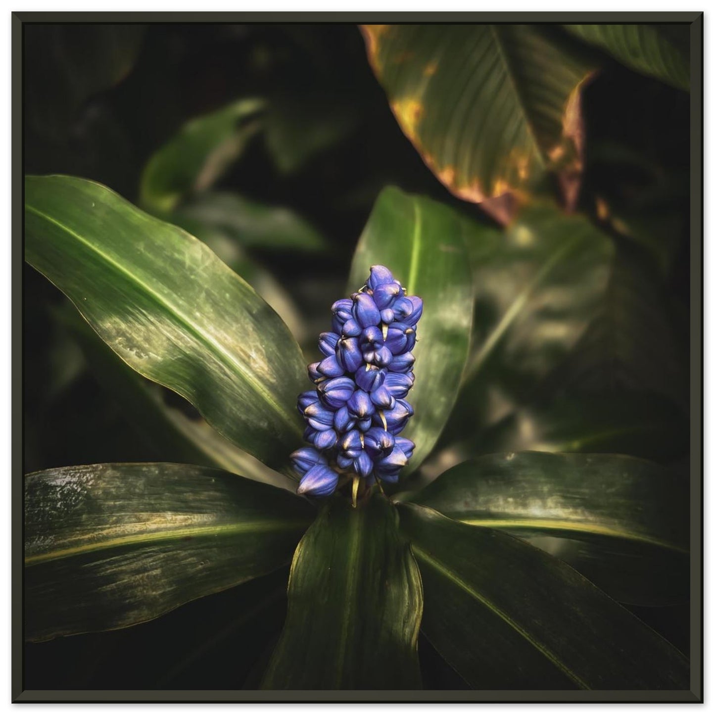 6e6dd010-4223-4584-b142-ce01fb314718