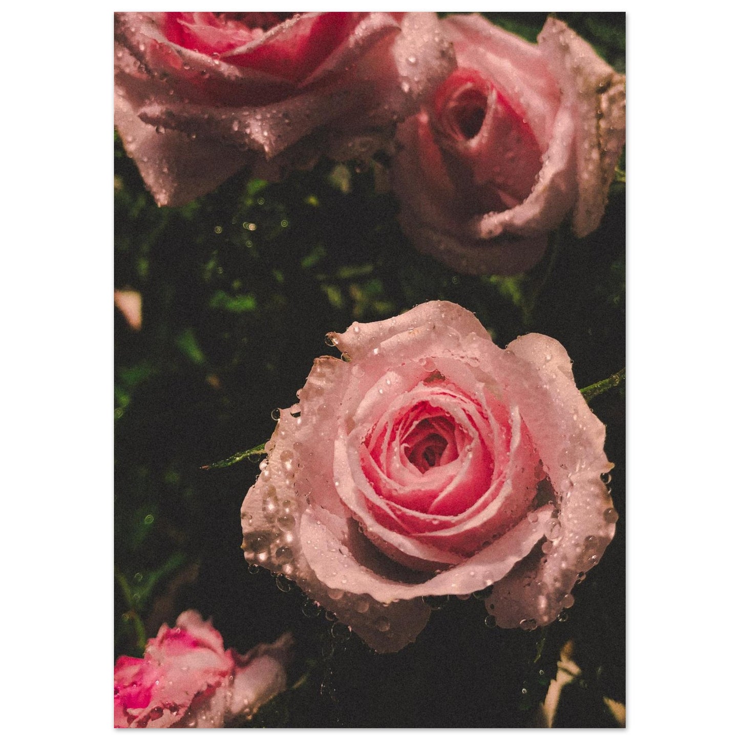 6f048532-0335-4221-b9a9-52349e4484d2