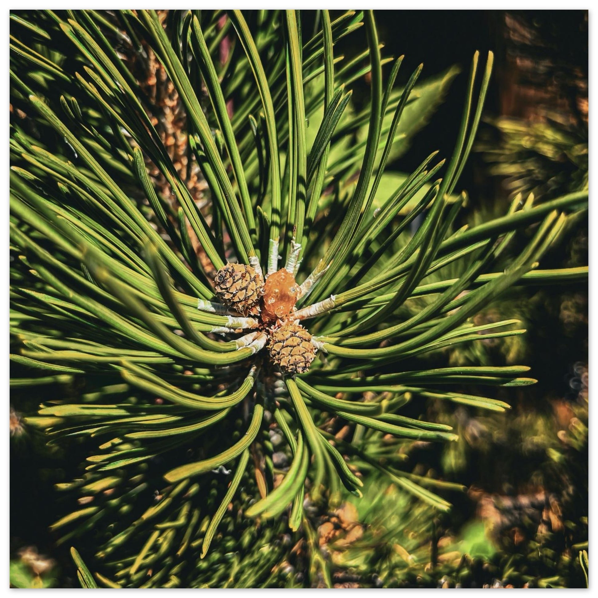 70598be9-b137-464c-9f4b-c72cbae22039