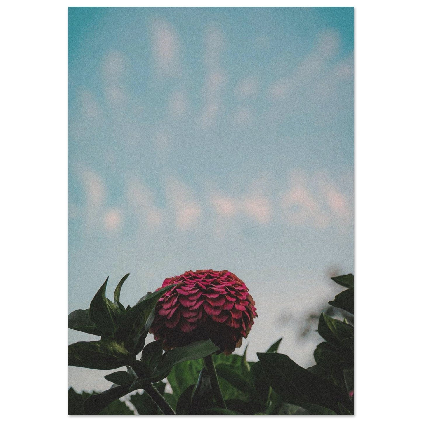 71c16306-2608-4dfe-9886-4221b5706330