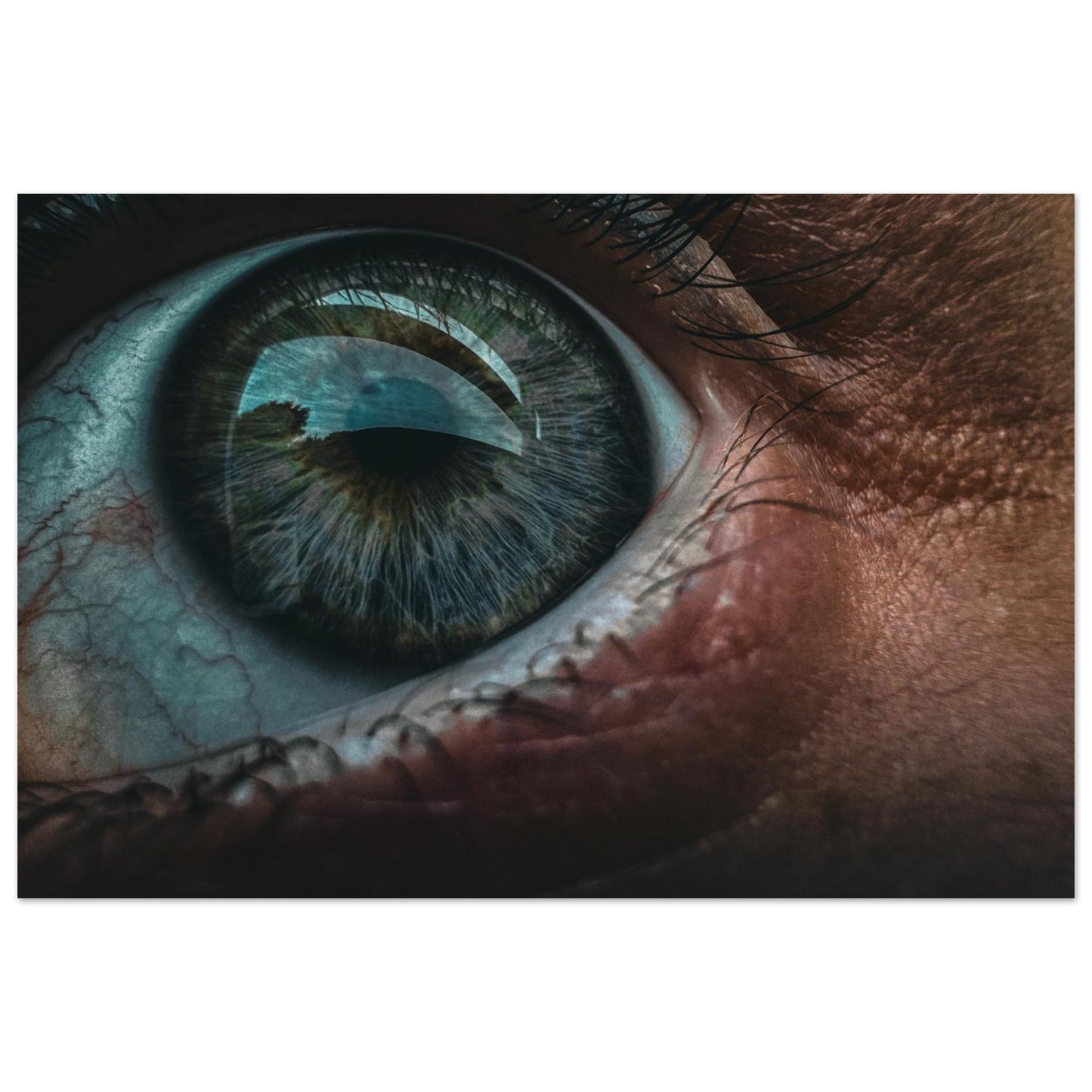 71cc5918-3fd7-40f0-9445-ce9e34f3eb70